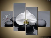 piękny_zegar-rośliny-biała_orchidea-ZP1712A_4E.jpg