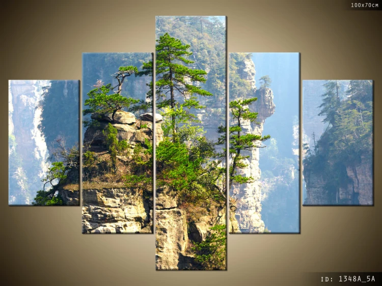 galeria-drzewo-zhangjiajie_national_park-1348A_5A.jpg
