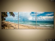 fotoprint-tropki-hawaje-838A_3F.jpg