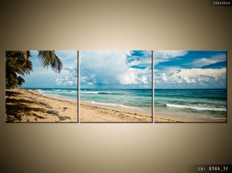 fotoprint-tropki-hawaje-838A_3F.jpg