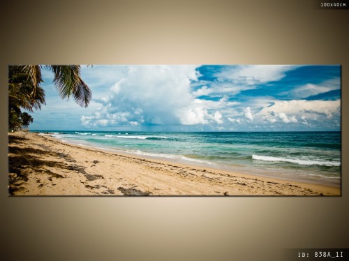 modny_obraz-widoki-tropikalna_plaża-838A_1I.jpg