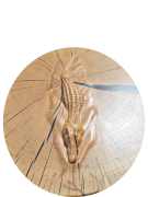 krokodyl6.png